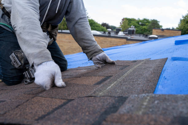 Best Roof Leak Repair  in Forest Hills, TN