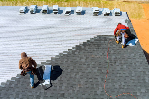 Roof Repair Estimates in Forest Hills, TN