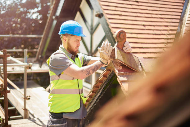 Best Roof Inspection Near Me  in Forest Hills, TN