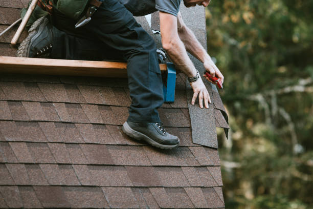 Quick and Trustworthy Emergency Roof Repair Services in Forest Hills, TN